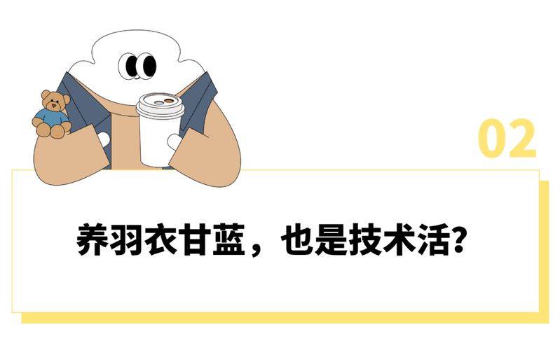 草莓盆栽种植方法视频