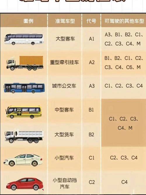 Terminology and definitions for motor vehicle types