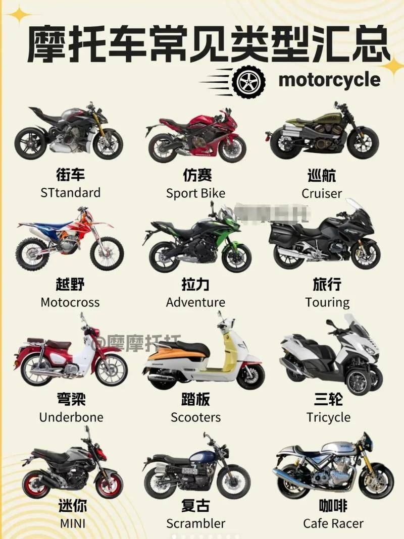 Terminology and definitions for motor vehicle types