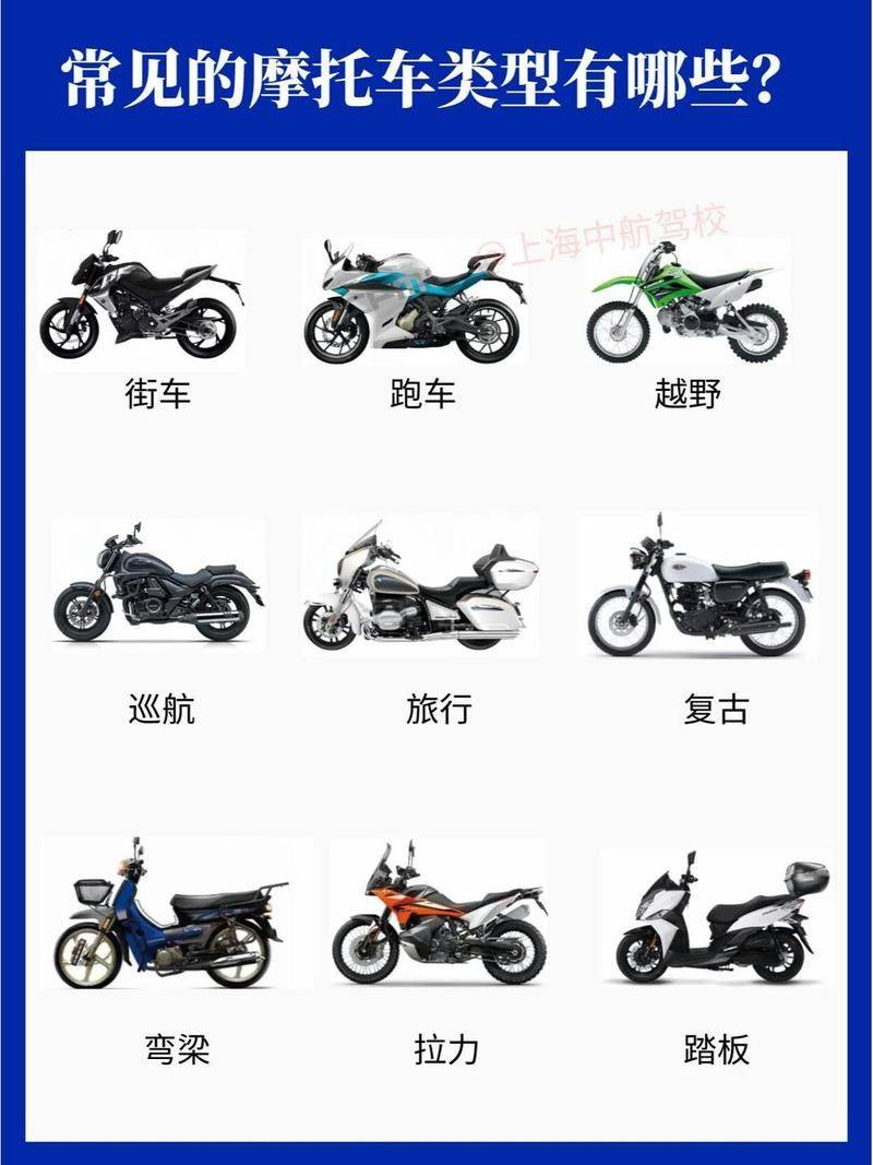 Terminology and definitions for motor vehicle types