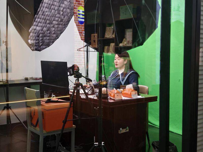 桂花苗多少钱一棵