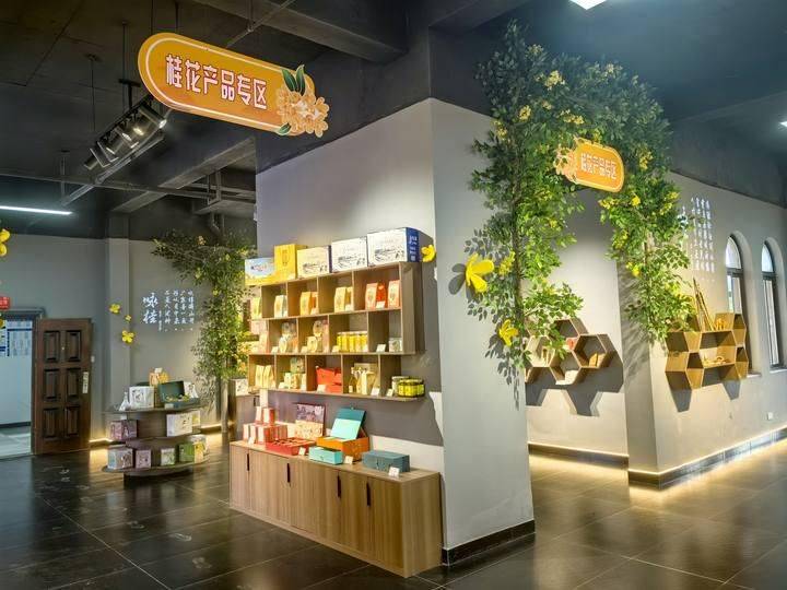 桂花苗多少钱一棵