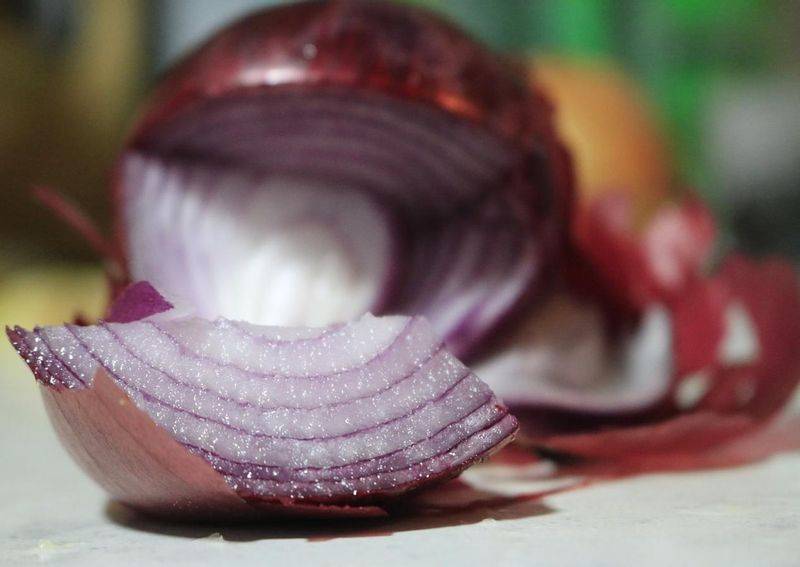 洋葱的种植方法视频