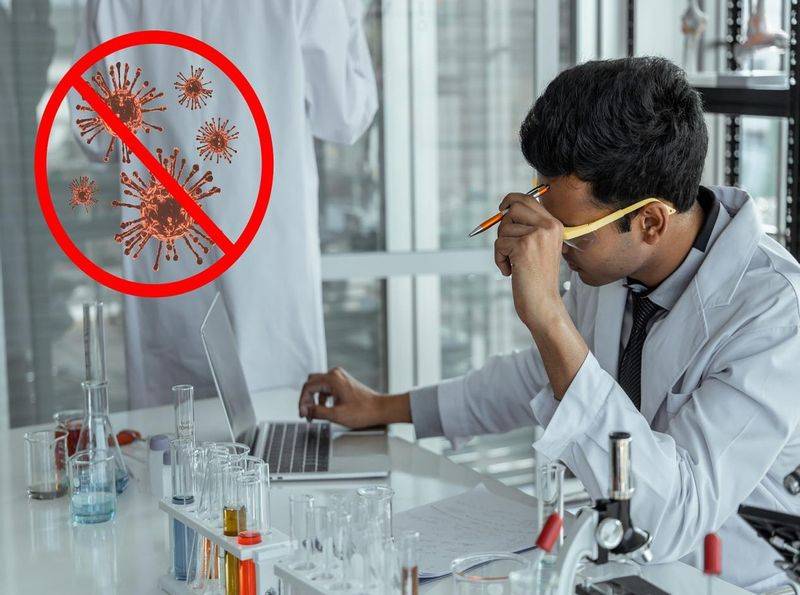 洋葱的种植方法视频