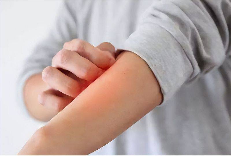 洋葱的种植方法视频