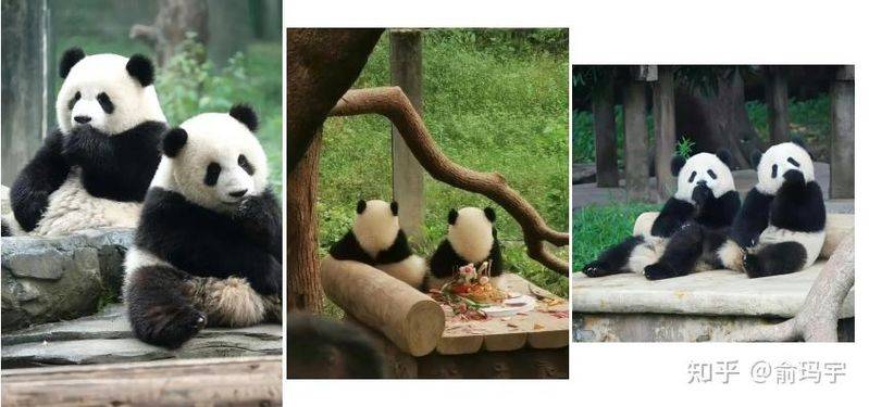 空调内机漏水维修费用