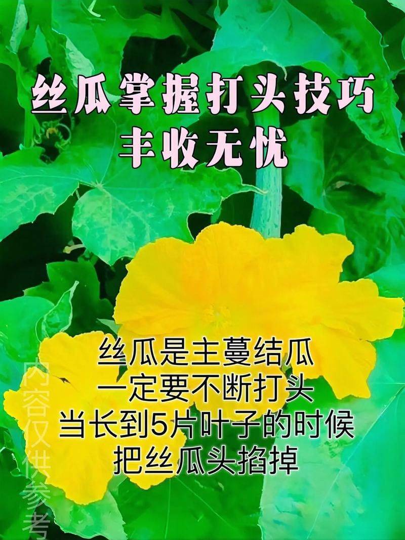 Squawk cultivation technology