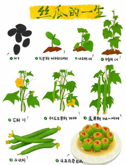 Squawk cultivation technology