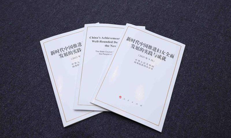 知识产权海关保护 白皮书