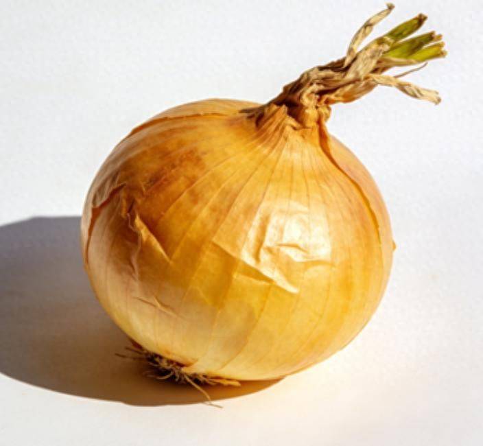 洋葱的种植方法视频