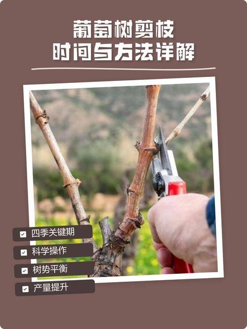 Grape growing techniquePDF