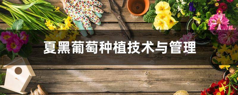 Grape growing techniquePDF