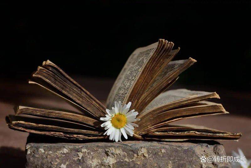 轮胎检查维修注意事项