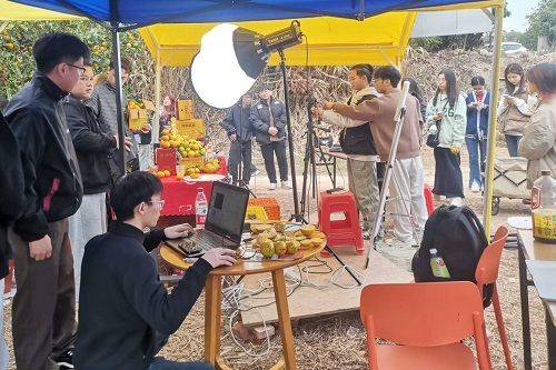 贡柑种植技术视频教学