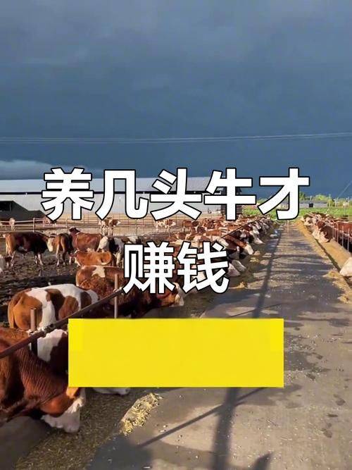 水牛养殖成本与利润