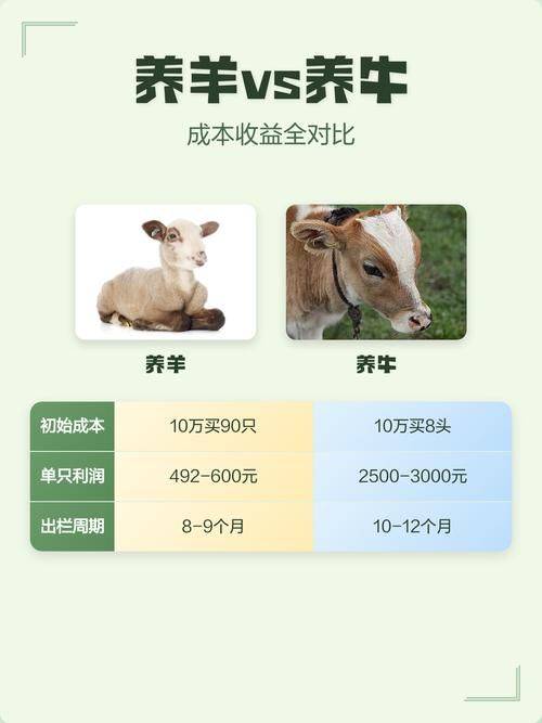 水牛养殖成本与利润