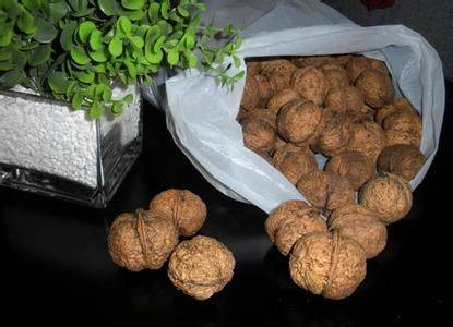 The walnut growing technique