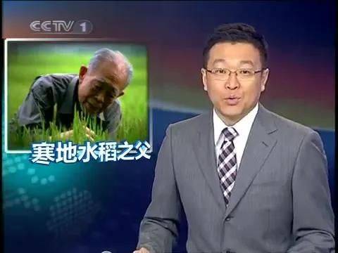 寒地水稻种植技术的书