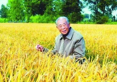 寒地水稻种植技术的书