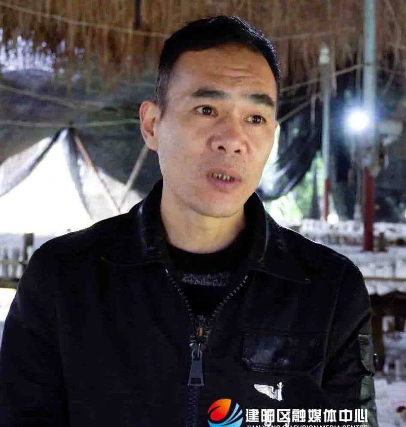 茶树菇种植技术