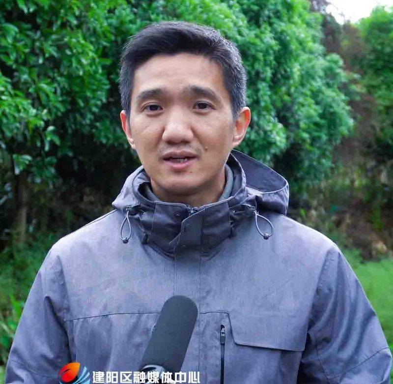 茶树菇种植技术