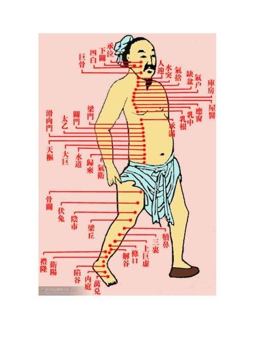 中医基础理论重点知识