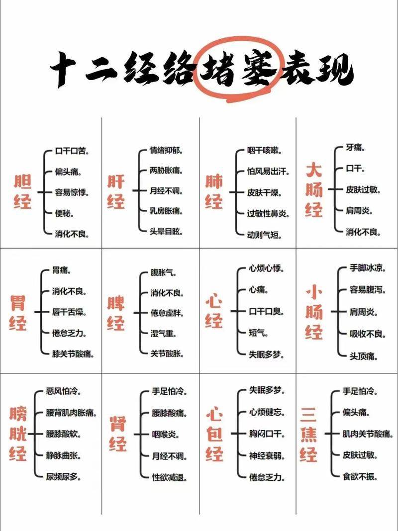 中医基础理论重点知识
