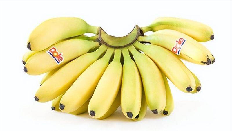 皇帝蕉种植技术