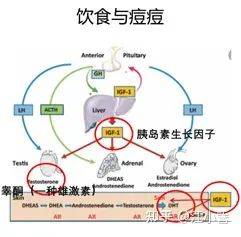 祛痘激光一次多少钱