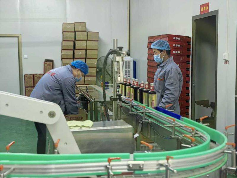 新疆大枣种植技术