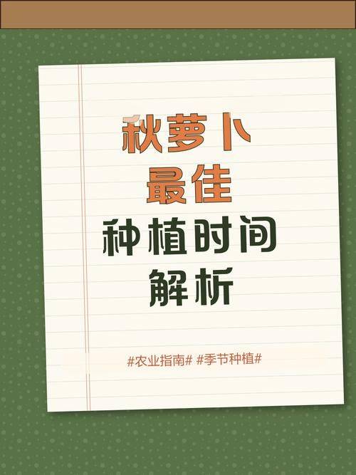 秋萝卜种植技术