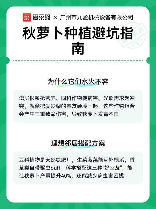 秋萝卜种植技术