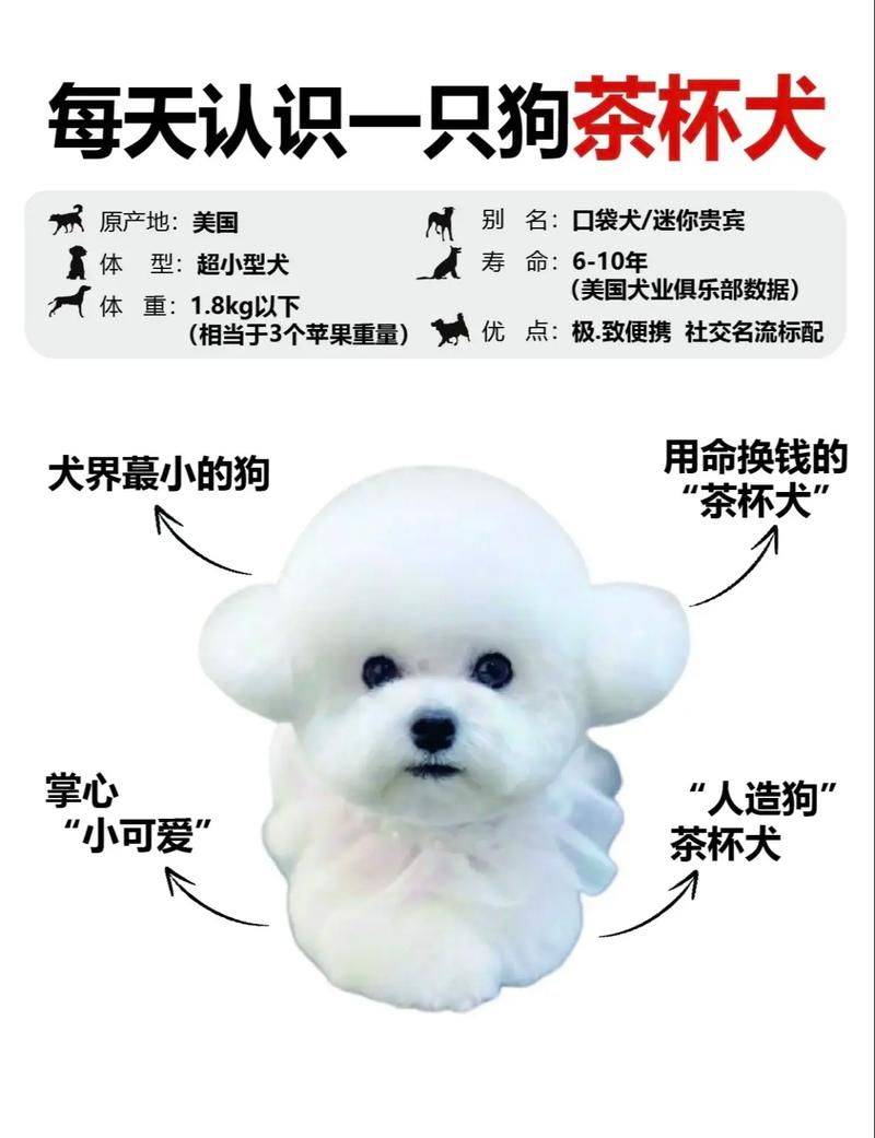 How much for a teacup