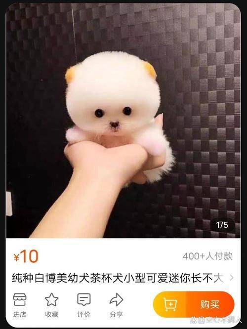 How much for a teacup