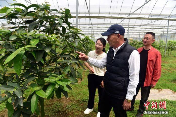 2026果树种植新品种