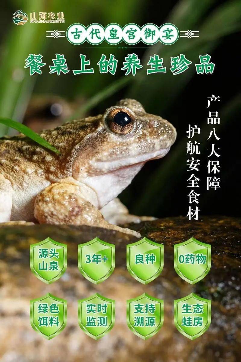 2026年石蛙价格收购