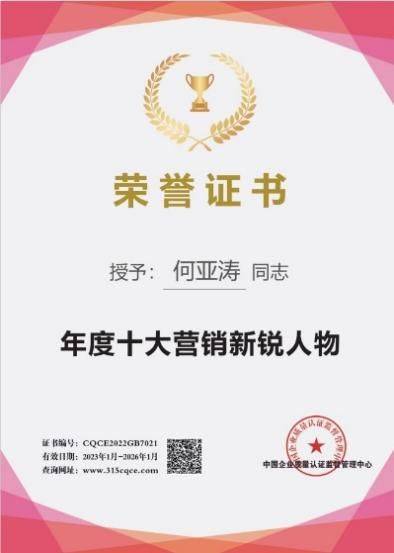 搜索引擎优化seo