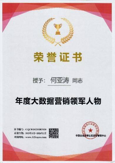 搜索引擎优化seo