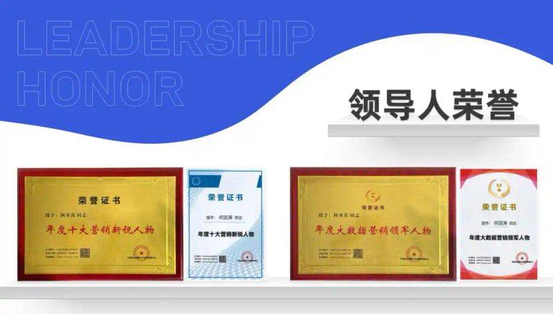 搜索引擎优化seo