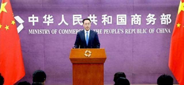 进口汽车关税 保护国产汽车吗