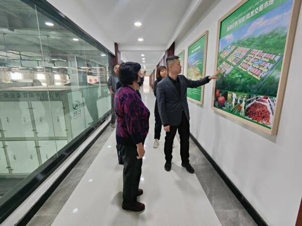 新疆大枣种植技术