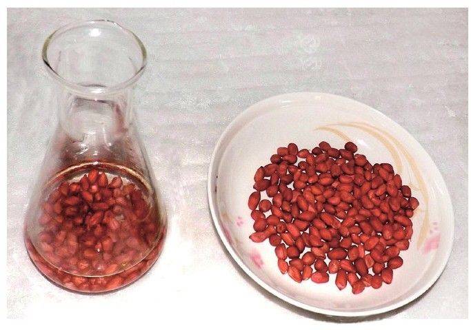 How to grow sprouts
