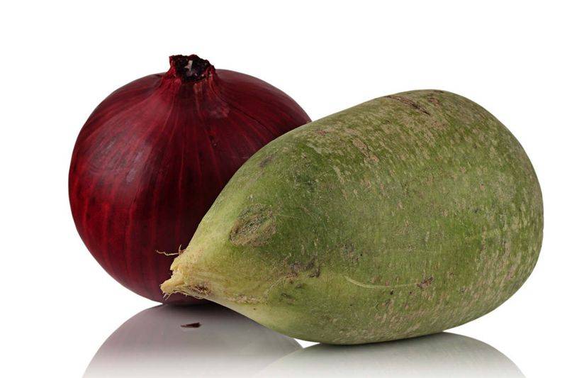 Autumn radish cultivation techniques