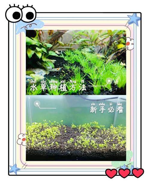 Water for vegetable cultivation