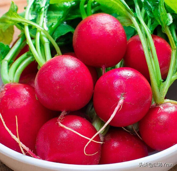 Autumn radish cultivation techniques