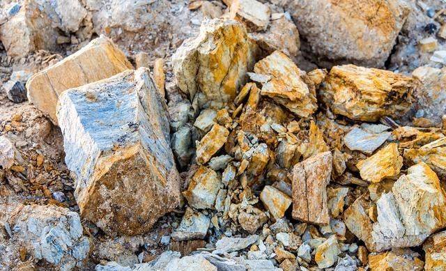 进口汽车关税 保护国产汽车吗