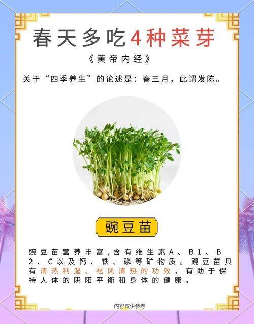 芽菜种植方法