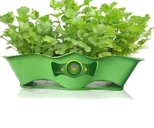 Water for vegetable cultivation