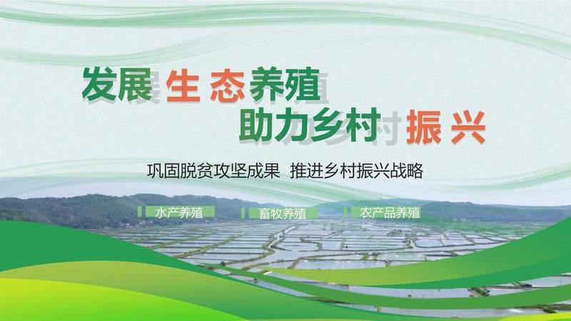 2026年石蛙价格收购