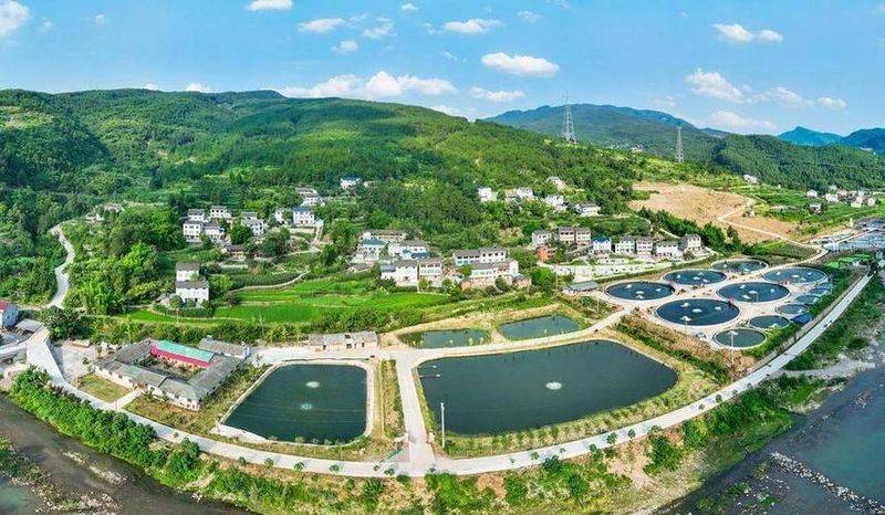 2026年石蛙价格收购